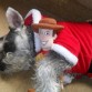 SU NUEVO JUGUETE ...... DICIEMBRE 15 DEL 2012