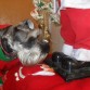 ALGO LE HUELE A PAPA NOEL