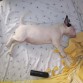 El pequeño Yako, 2 meses de edad.