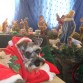 JUNTO AL NACIMIENTO DE LA CASA