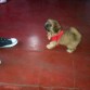 mi coketa de apenas 2 mese