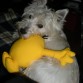 Danko y su peluche ^^