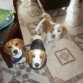 PRINCE, TOMMY Y MATTI