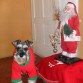 POSANDO CON PAPA NOEL