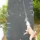 Muro de escalar para perros - SPEED JUMP