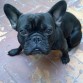 ole mi niño wapoo!!