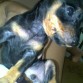 Soy kiippiii!!! y aqui tenia 5 meses!