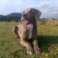 MI BB SETHIE