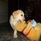 en la actualidad jugando con mi jugete favorito