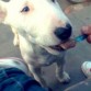 4 meses