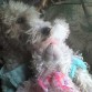 albina ♥