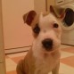 Dos mese y medio q mayor eres romeo!!!!