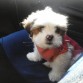 De paseo en el auto