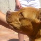 A los 2 años y 3 meses