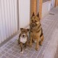 en puerta de casita ya listos para salir de paseo