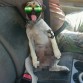 Baaaad booy!!