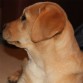 Clara con 3 meses.