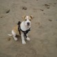 Su primer día en la playa, 3 mesinos