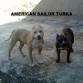 drako y turka