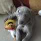 No es tierna???....
