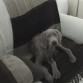 Toda una diva!!