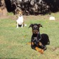 Mora y Lupita tomando solcito en el patio...