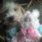 albi ♥