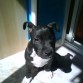 con 2 meses y 15 dias