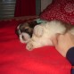 Como me gusta esto , sigue sigue uuyy que cosquillistas....