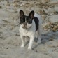 Maya en la playa verano 2008