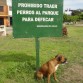 en el parke x mi casa , esta muchacha no respeta nada!! cuando tenia 4 años