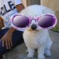 Pss fluffy con unos lentes ridiculos jajajaj