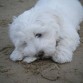 Otra en la playa