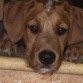 4 meses