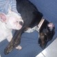 se quieren a moriiir!! :)