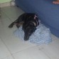 4 meses durmiendoo!