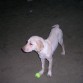 titen jugando de pqueño en la playa