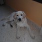 4 meses!