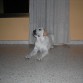 4 meses!