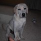 4 meses!