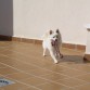 jugando en la terraza