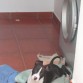 La bicharraca de la casa!!