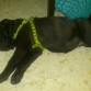 Mi Noche descansando