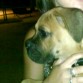 mas guapo...