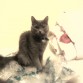 CHIRLY, LA MAS LOCA