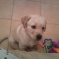 pidiendome q juege con ella