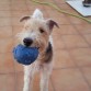 con su pelota preferida