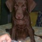 Chocolate al cumplir tres meses