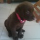 Q linda soy!!!