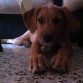4 meses
